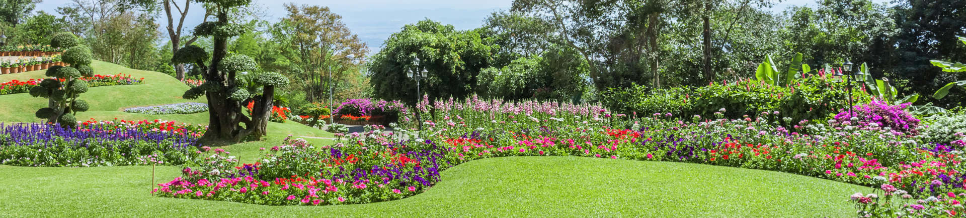 manicured garden with blooming seasonal flowers and shaped trees