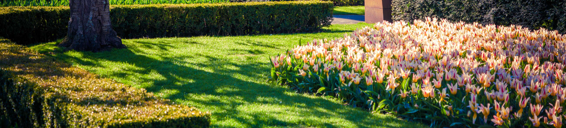 garden with blooming seasonal flowers