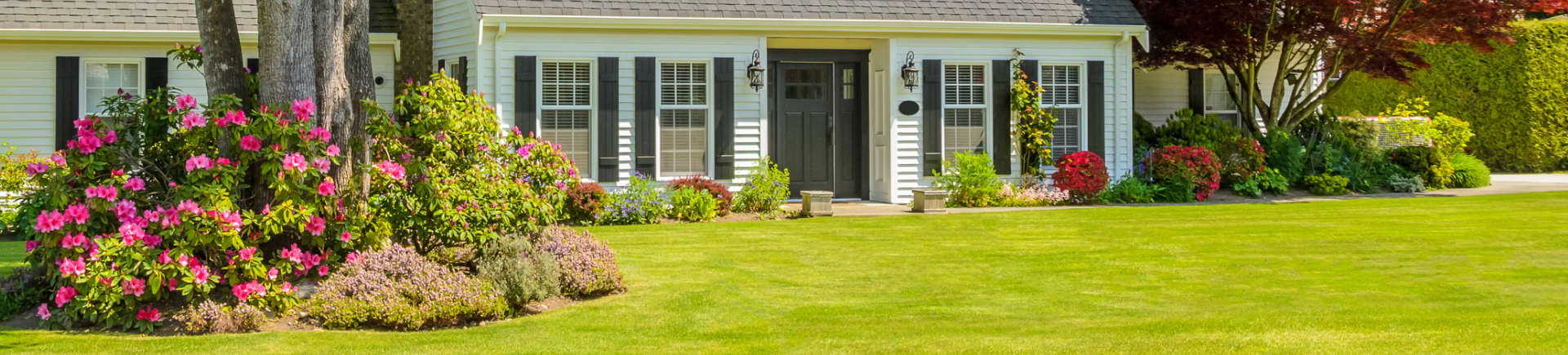 perfect lawn, flowers and green plants in the backyard of a house with white walls