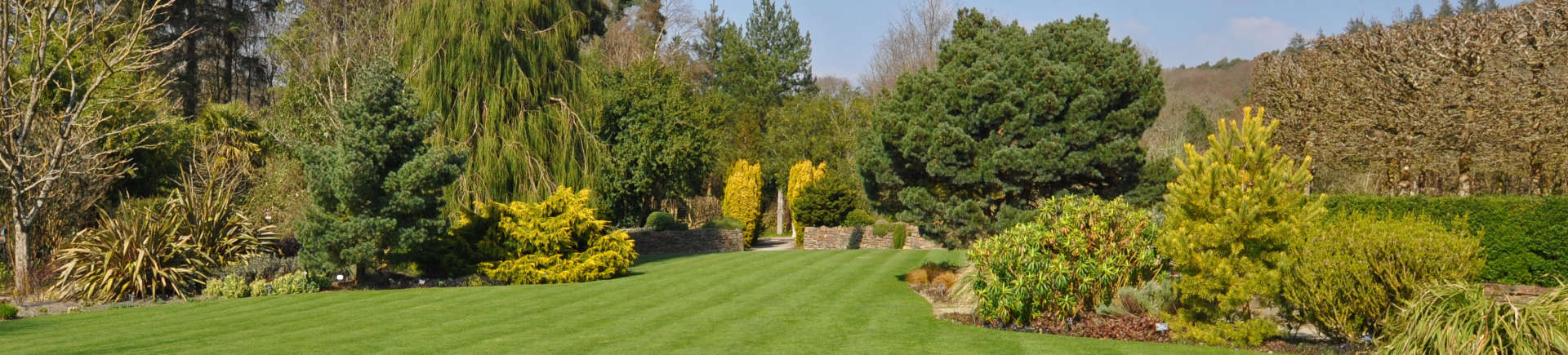 manicured garden with perfect lawn and trees