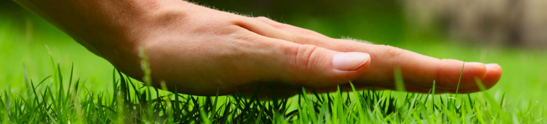 person touching grass with open hand