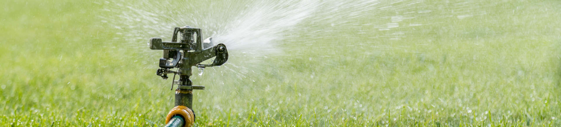 sprinkler watering lawn